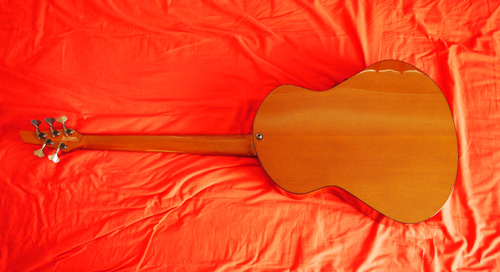 Veillette Acoustic Bass