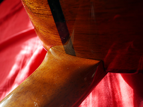 Veillette Acoustic Bass