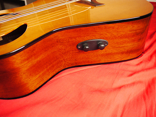 Veillette Acoustic Bass